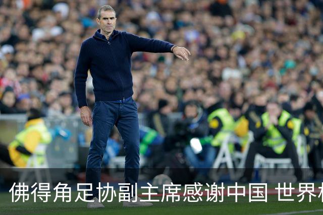 佛得角足协副主席感谢中国 世界杯后将安排与国足友谊赛