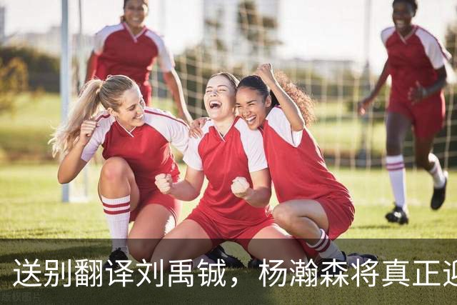 送别翻译刘禹铖，杨瀚森将真正迎来独当一面的时刻